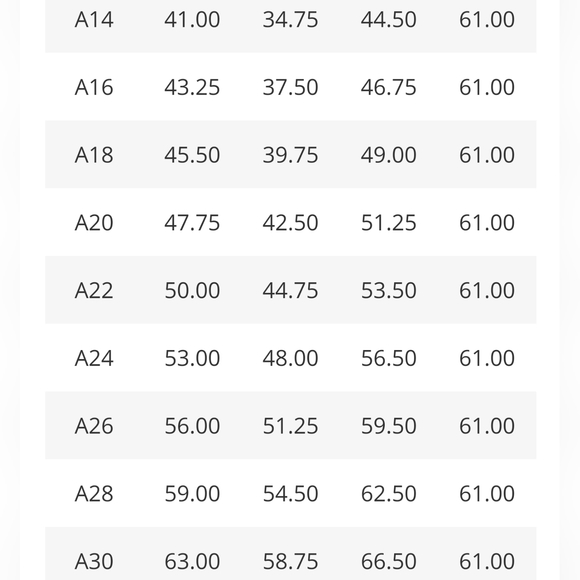 Azazie Ginger Chiffon Fuscia Gown Wedding Mother Of The Bride Prom Wedding - Picture 11 of 16